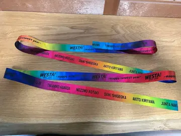 WESTA 은색 테이프 풀 1개