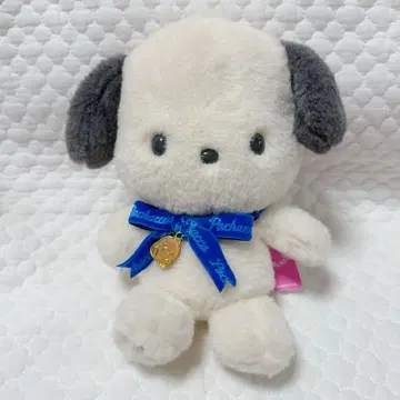 산리오 초레어 포차코 벌스데이 인형 봉제 인형