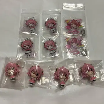 카라피치 컬러풀피치 노아 묶음 판매