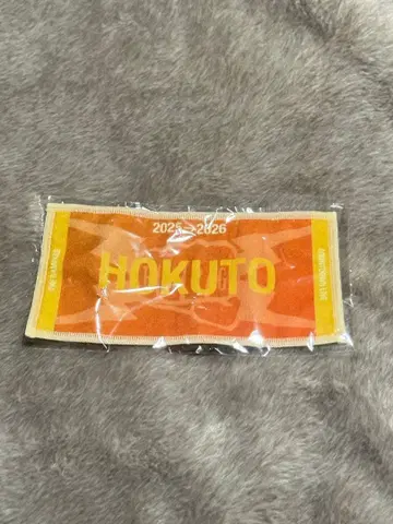 HOKUTO 미니 타월