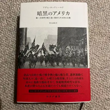 암흑의 미국 : 제1차 세계 대전과 궁지에 몰리는 민주주의