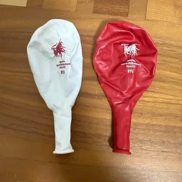 후쿠야마 마사히로 겨울의 대감사제 빨흰 풍선