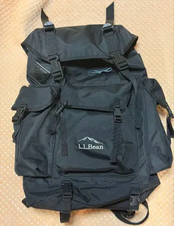 엘엘빈 콘티넨탈 럭색