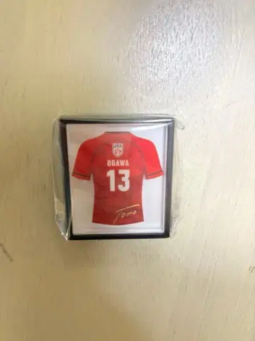 남자 배구 오가와 토모히로 선수