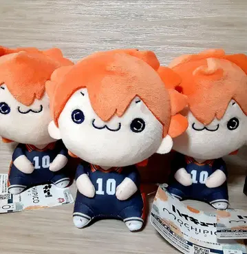 하이큐!! 히나타 쇼요 모찌피코 봉제 인형 택 포함 3체 세트 3