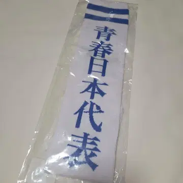 미사용 새로운 학교의 리더즈 청춘 일본 대표 양말 삭스 L 사이즈