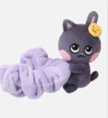 라이즈 원빈 스크런치