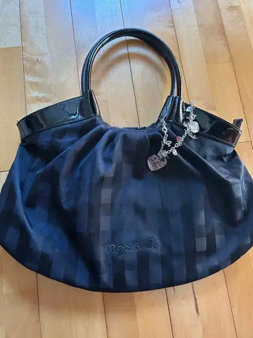 아그네스 베 백 참 포함