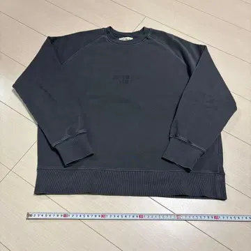 AVIREX PEANUTS 맨투맨 트레이닝복