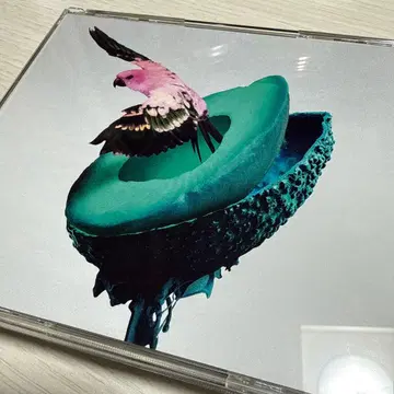 신은 주사위를 던지지 않는다 2nd 앨범 심해 초회 한정판 B