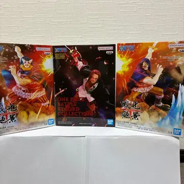 원피스 BATTLE RECORD COLLECTION 전광절경