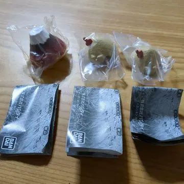 기다림 움직이지 않는 산과 같은 붉은 후지 모래 산