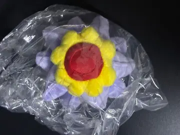 포켓몬 fit 스타미