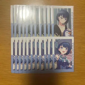 키리타니 하루카 에피카 10A 노멀 묶음 판매