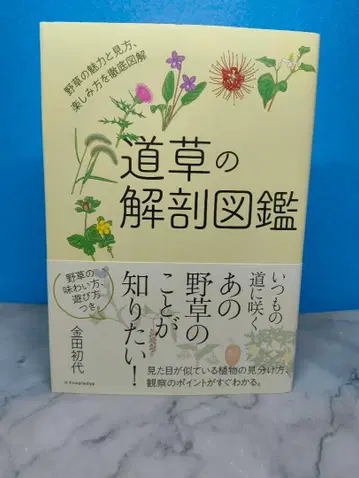 잡초 해부 도감