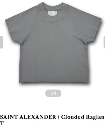 SAINT ALEXANDER Clouded Raglan T 사이즈 M