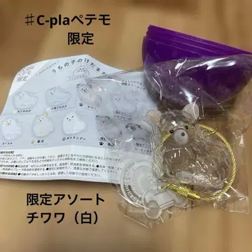 우리 집 털뭉치 치와와 (화이트)