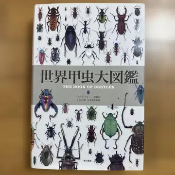 세계 장수풍뎅이 대도감