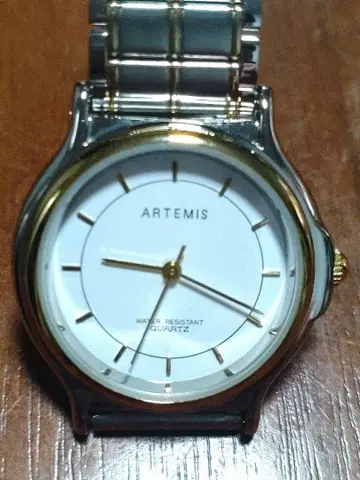 ARTEMIS 아르테미스 남성용 쿼츠 손목시계 여성용으로도!
