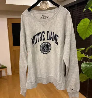 [ 고품질 ] Champion 리버스 위브 노트르담 대학 L