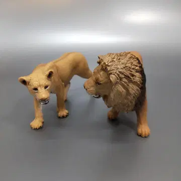 슐라이히 사자 커플 세트