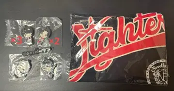 Novelbright 굿즈 티셔츠 가챠