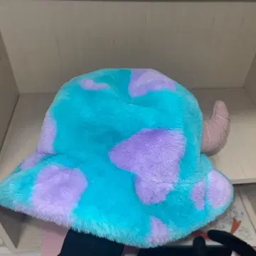 샐리 햇 디즈니