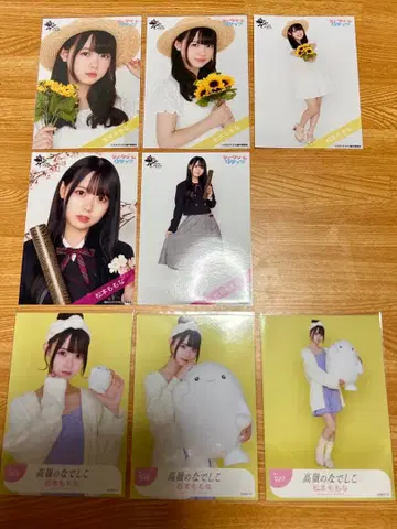 마츠모토 모모나 타카네노 나데시코 라스트 아이돌 브로마이드 8장 세트