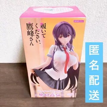 신어주세요, 타카미네 씨 트리오 트라이 잇 타카미네 타카네 피규어