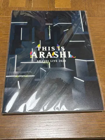 아라시 페스티벌 2020 팜플렛