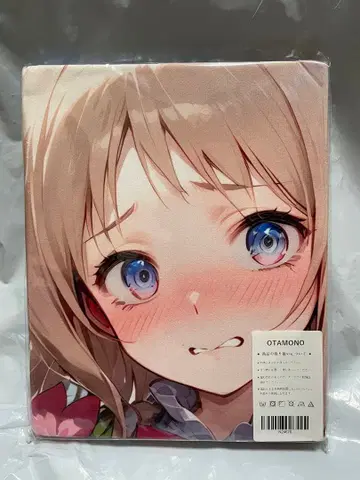 24676 빈 아틀리에 메를르