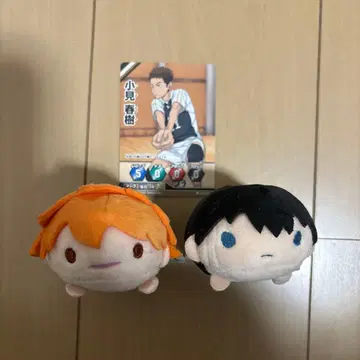 하이큐 히나타 쇼요 카게야마 토비오 츠무츠무 봉제 인형 마스코트 바보카