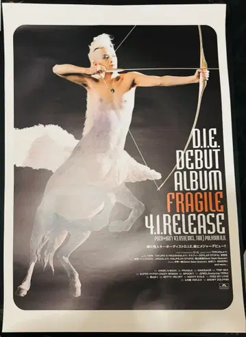 D.I.E. 데뷔 앨범 FRAGILE 포스터 B2 사이즈