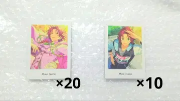 앙스타 파샤츠 6 vol.6 이사라 마오 action private