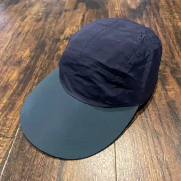 Overlooking The Hudson 롱 빌 캡