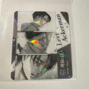 코단샤 코미이로 페어 사진 그레이풍 클리어 카드 진격의 거인 리바이 홀로