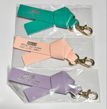 BUDDiiS JOURNiiY 지역 리본 키링 3개 세트 새상품