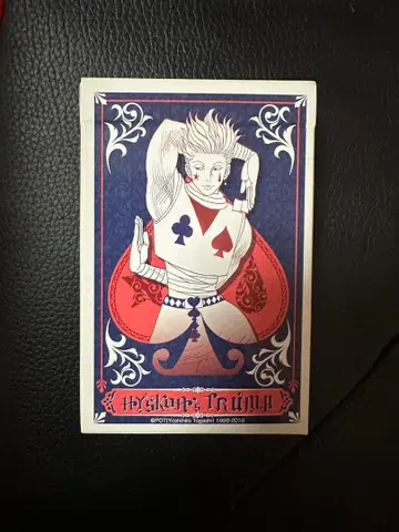 HUNTER x HUNTER 히소카 트럼프 카드