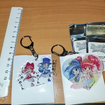 신비한 별의 쌍둥이 공주 아크릴 키링 fine rein