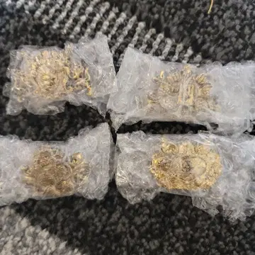 제일복권 죠죠의 기묘한 모험 핀즈 컬렉션