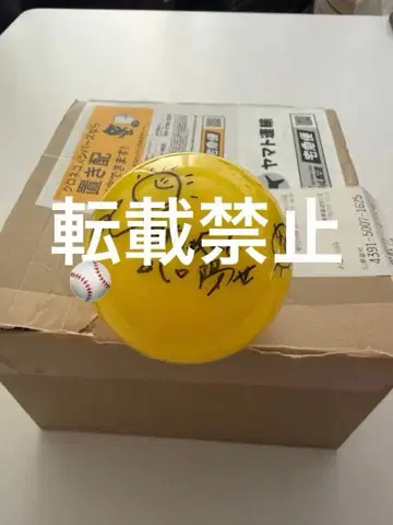 [히나타자카] 야마구치 하루요 사인 포함 컬러볼