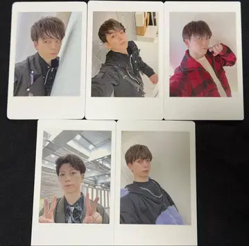 MeseMoa. 노자키 도시락 하피카