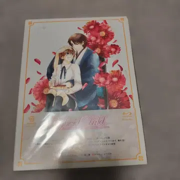 Hybrid Child Blu-ray 2권 특전 포함