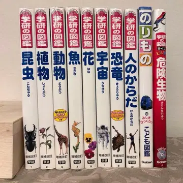 학습연구사 도감 10권 세트