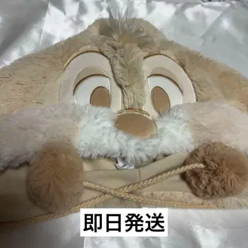 디즈니 팬캡 데일