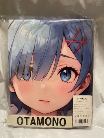 12920 미 리제로 렘