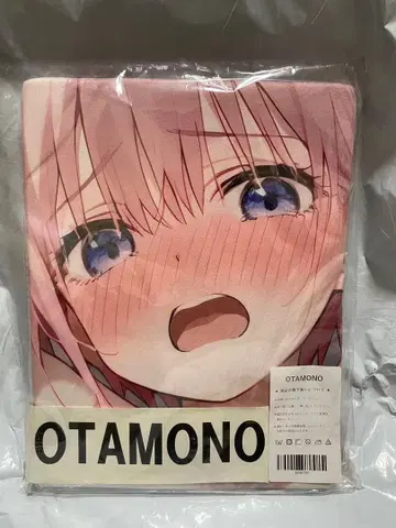 18737 거 고토요메 나카노 이치카