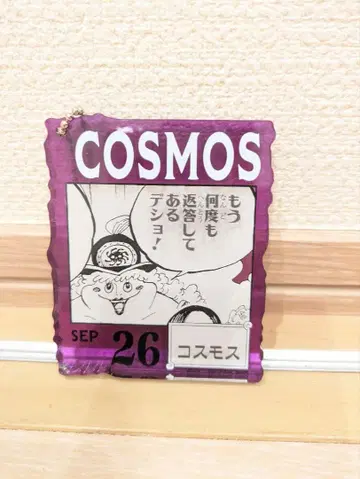 아크릴 블록 참상 366DAYS OF BIRTHDAYS 코스모스