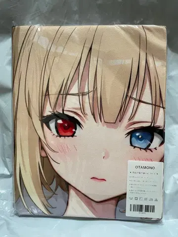 13923 빈 하가나이 하세가와 코바토