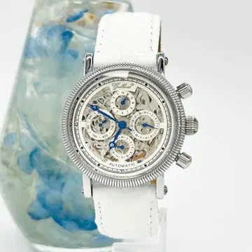 GALLUCCI 가루치 스켈레톤 양면 스켈레톤 자동 와인딩 손목시계